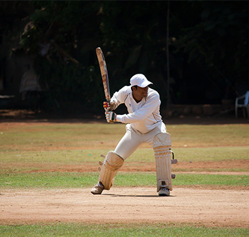 Cricket